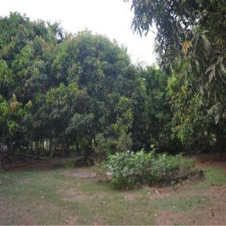 2 Bedroom Bungalow In Alibag, Maharashtra, Alibaug 3